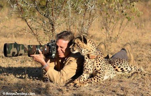  عکاسی در یک وجبیِ حیوانات درنده! 